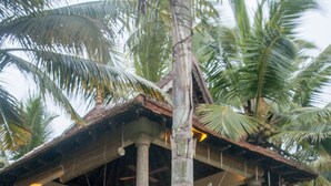 A two-story house with a balcony, surrounded by palm trees and greenery. - Over The Hill (Neyyattinkara)