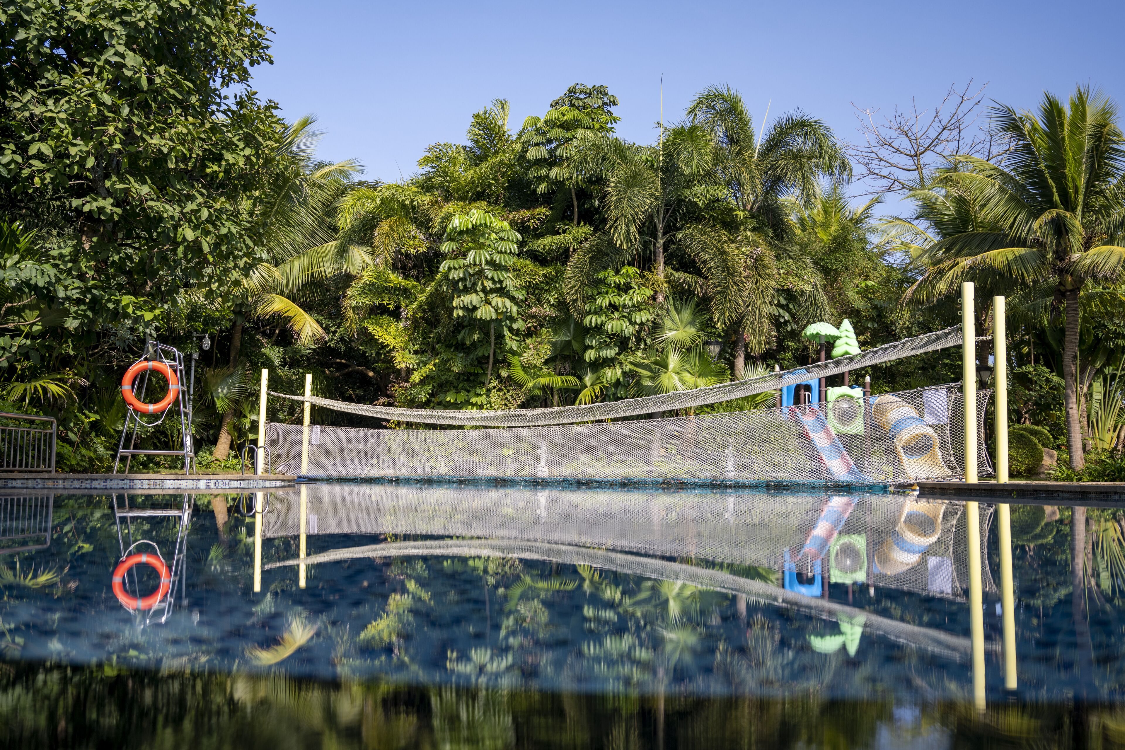 A swimming pool with a safety net, surrounded by lush greenery and palm trees.