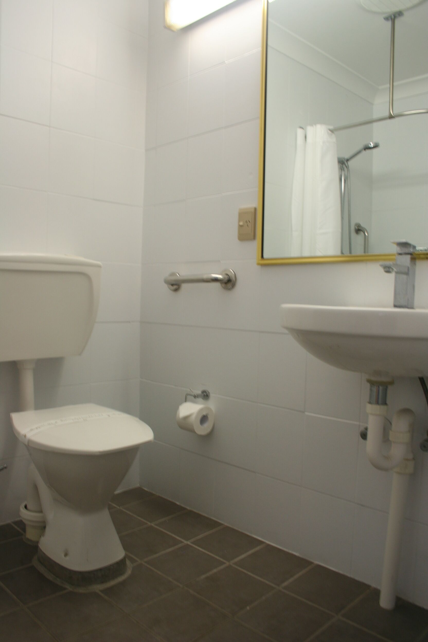 A bathroom with a toilet, a sink, a mirror, and a shower.