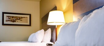 Welcome Suites Minot