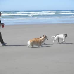On the beach
