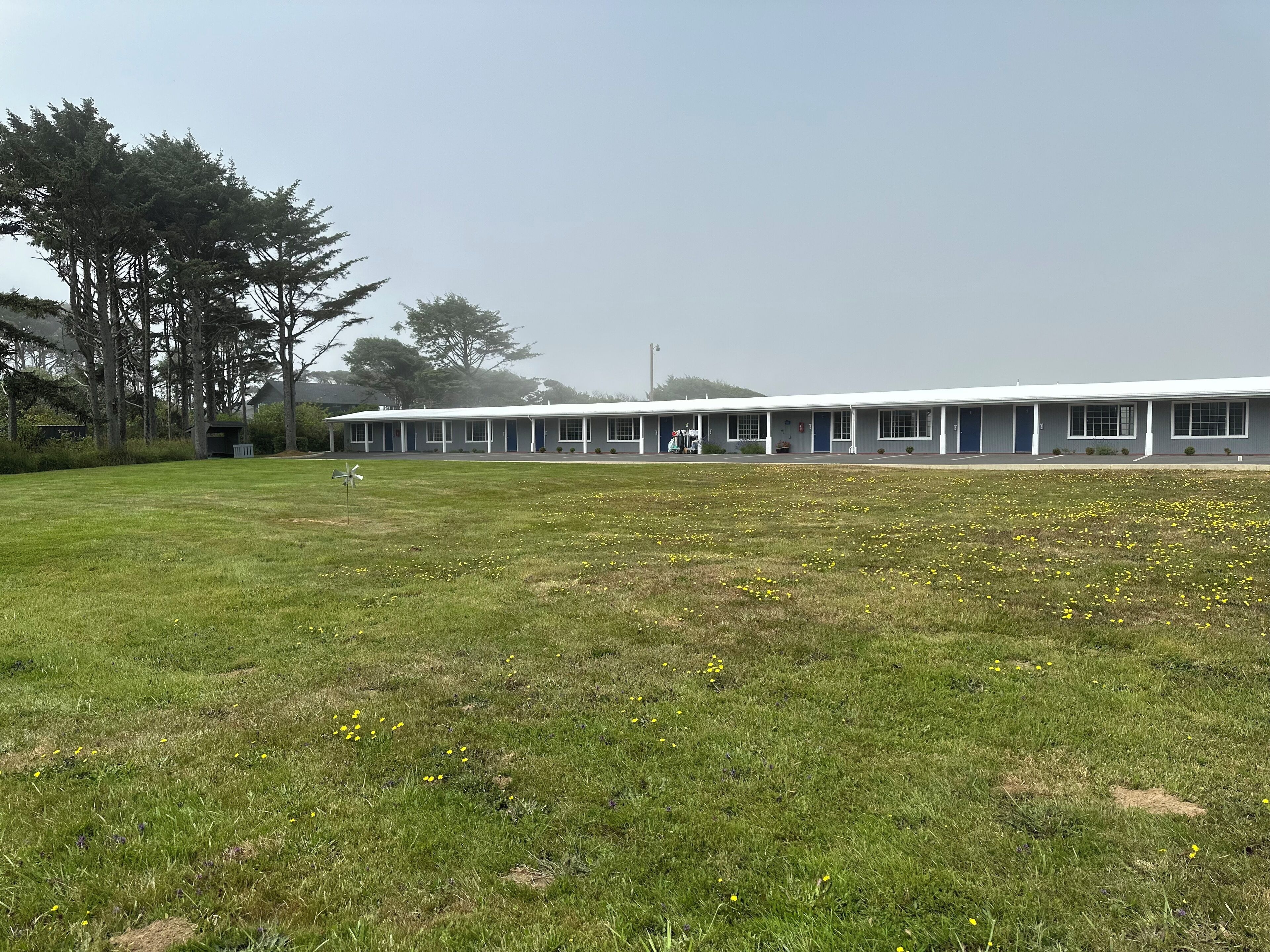 A long, single-story motel with a row of rooms, a covered outdoor area, and a grassy field with scattered yellow flowers.