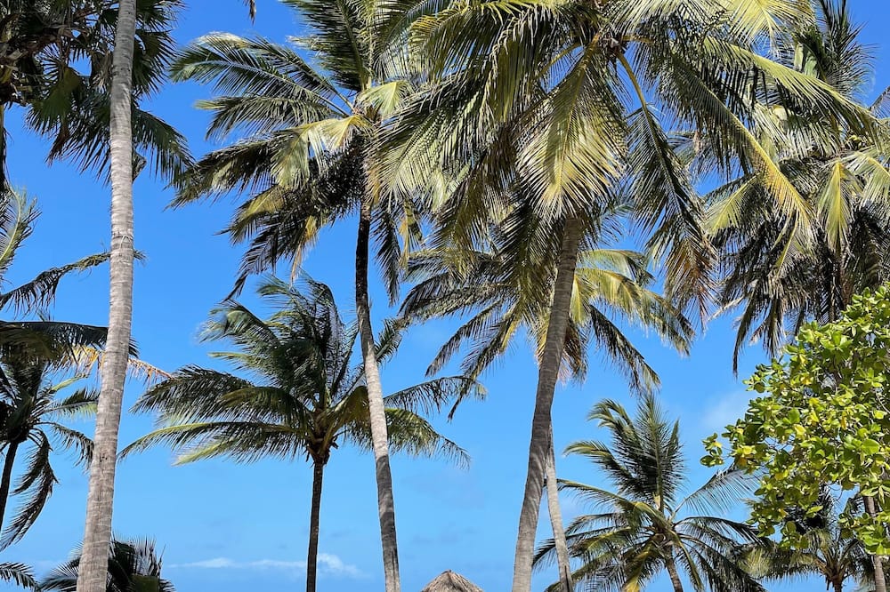 Kilili Baharini Resort & Spa