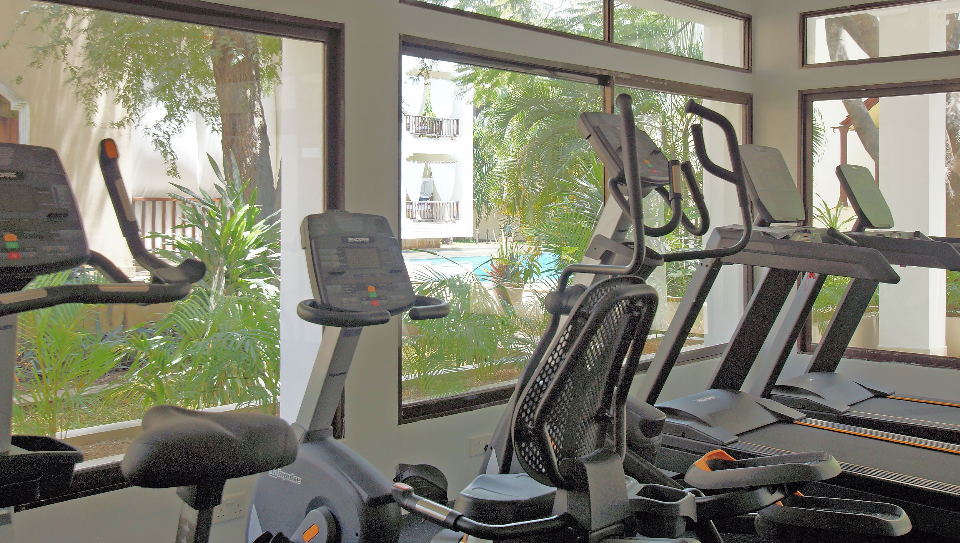 A gym with various exercise machines, large windows with a view of a swimming pool and palm trees.