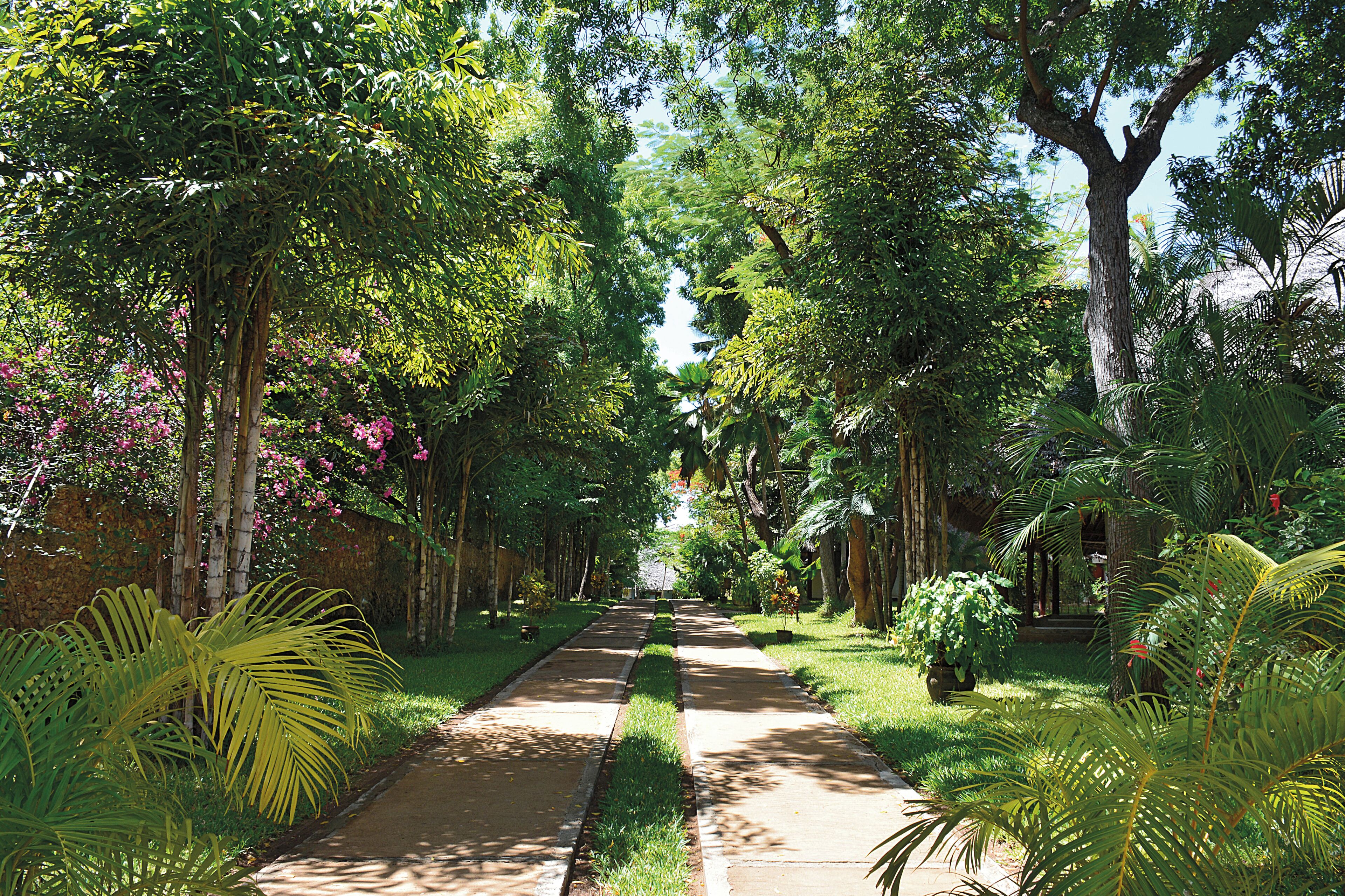 Garden view