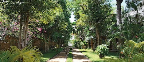 Un sendero bordeado de exuberante vegetación y árboles, que conduce a un edificio con entrada cubierta.