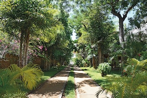 Garden view - Kilili Baharini Resort & Spa (Malindi)