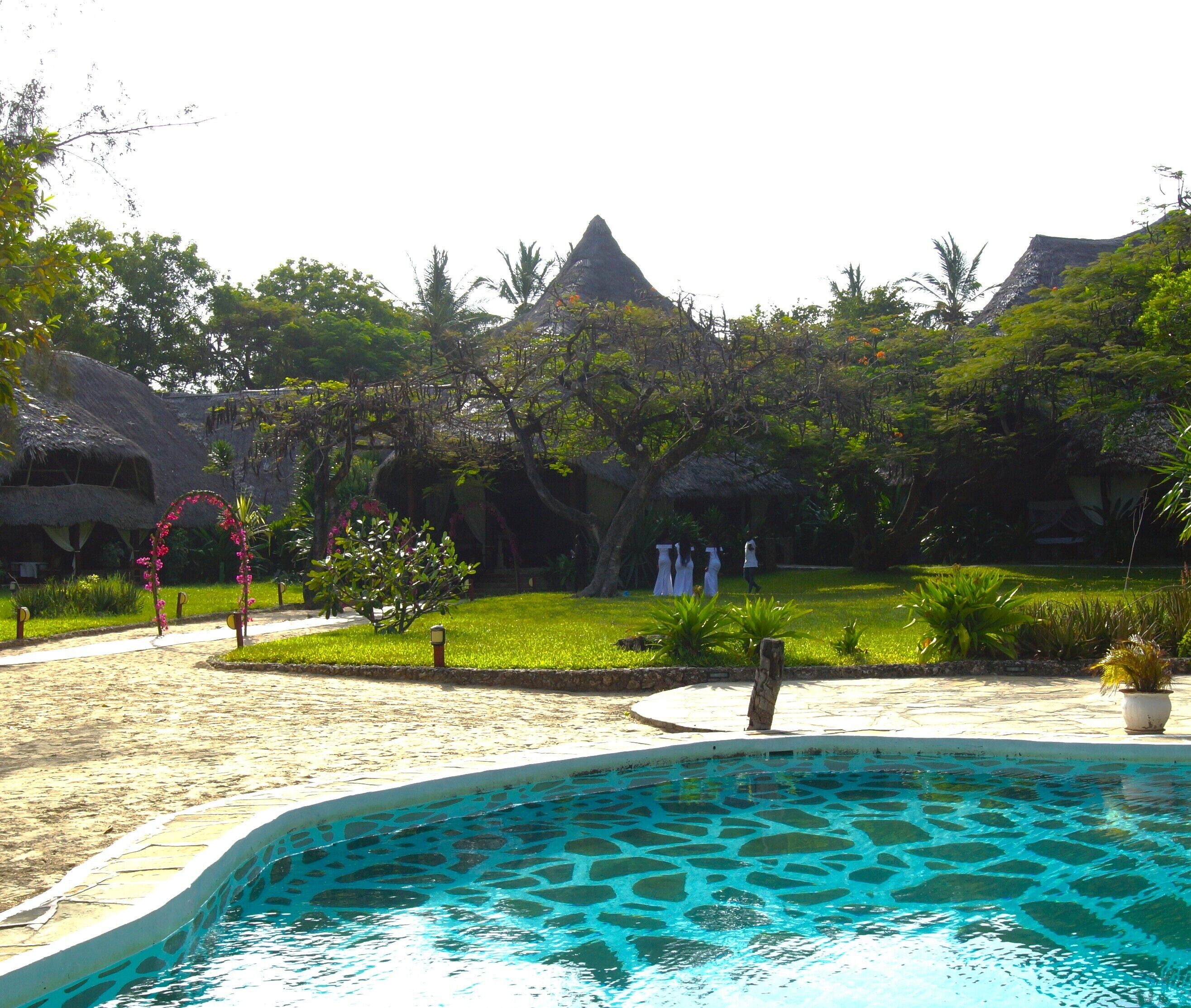 A pool area with a clear blue water feature, surrounded by lush greenery and thatched-roof structures.