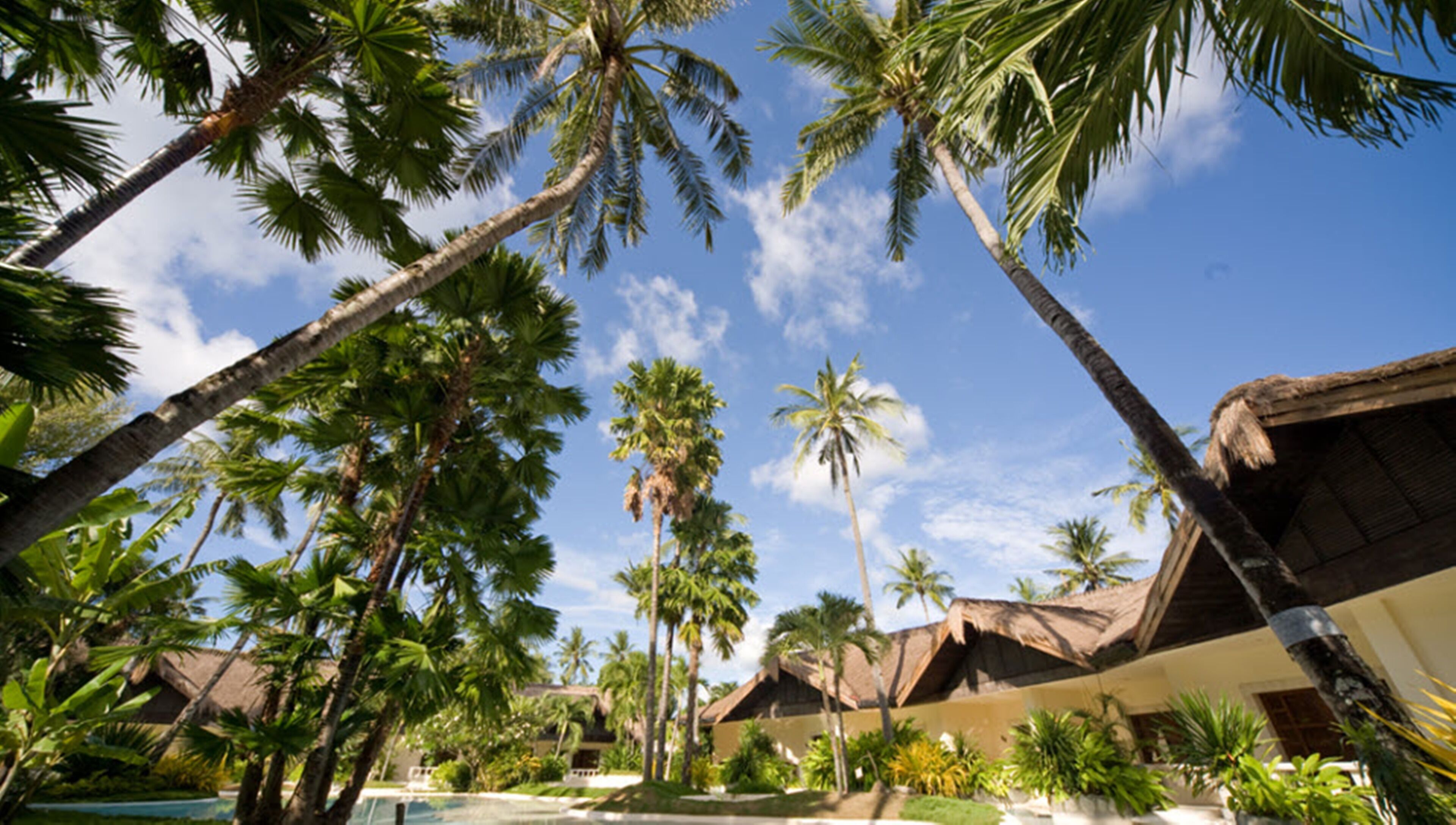 pool lagoon suite | garden view