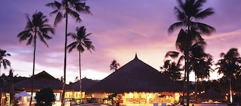 Pulchra - Philippines