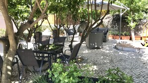 Un espace extérieur aménagé en terrasse, avec des tables et des chaises, entouré de plantes en pot et d’arbres.
