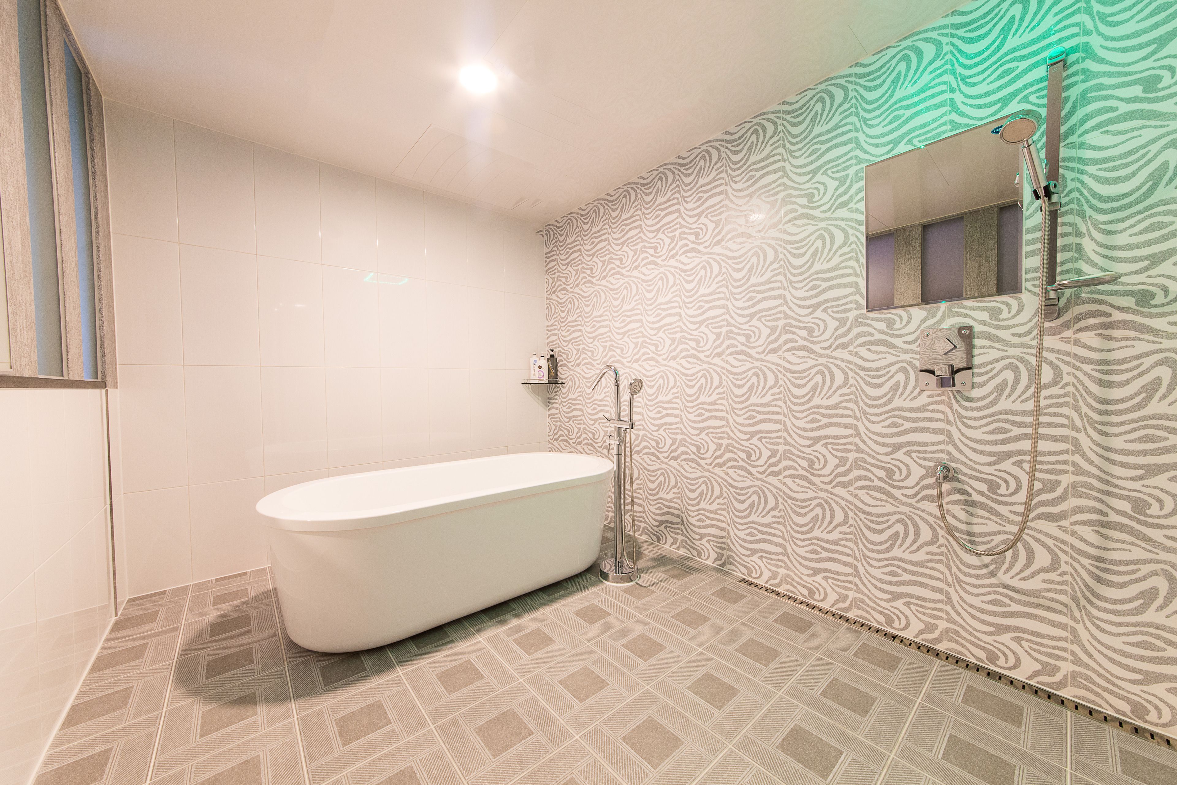 A bathroom with a freestanding bathtub, a shower with a handheld showerhead, and a wall-mounted mirror.