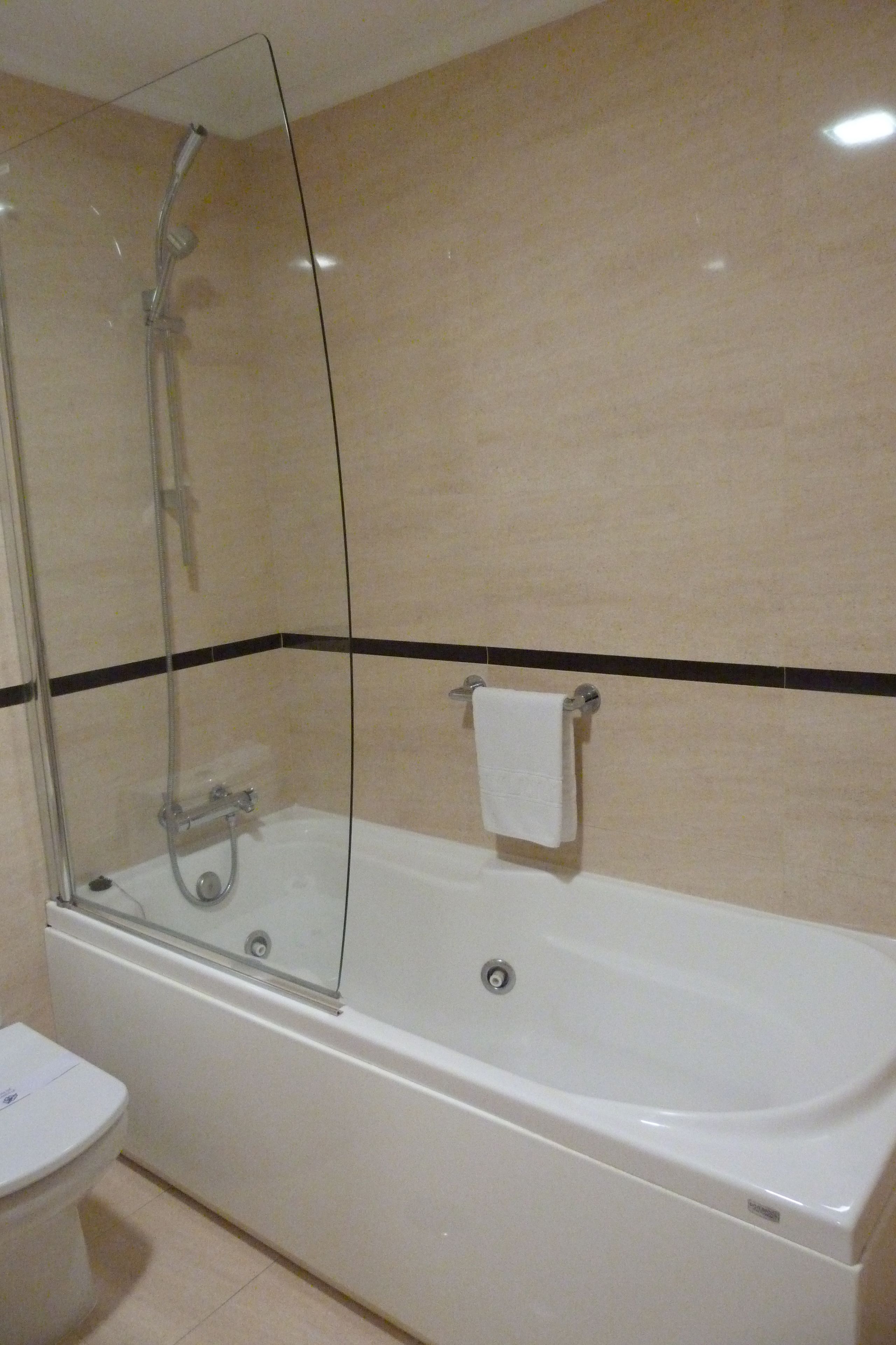 junior suite | bathroom shower