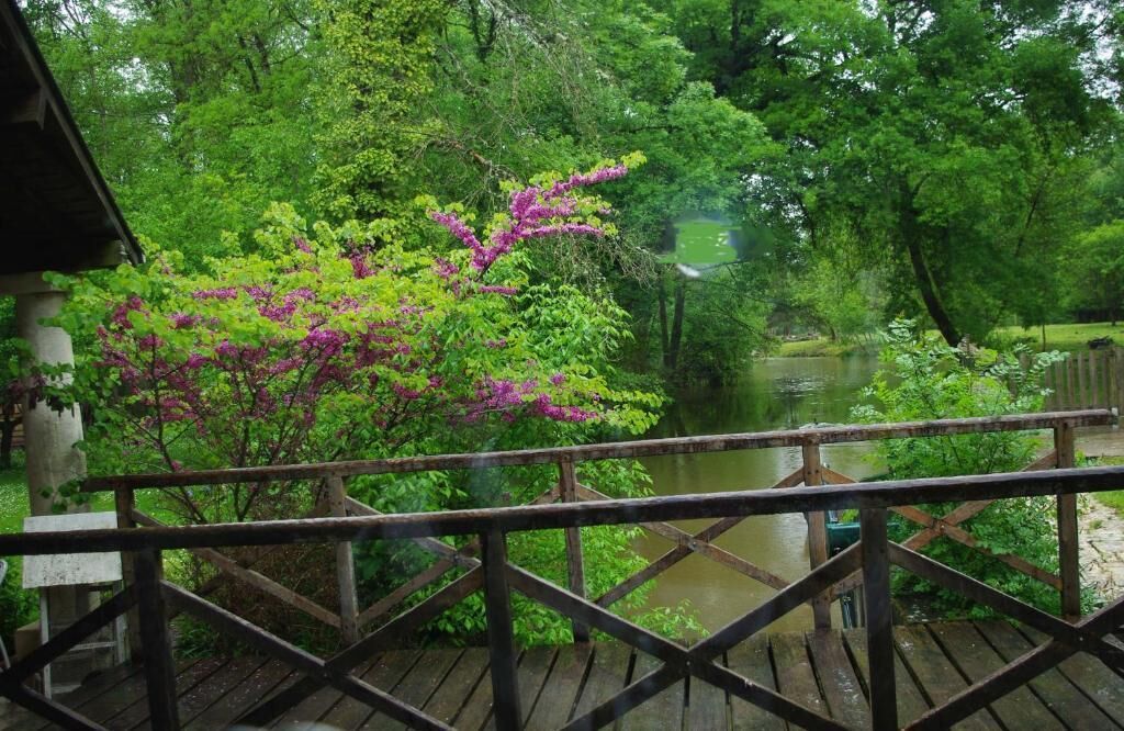 Terraza de madera con vista a un río, rodeada de abundante vegetación y árboles con flores moradas.