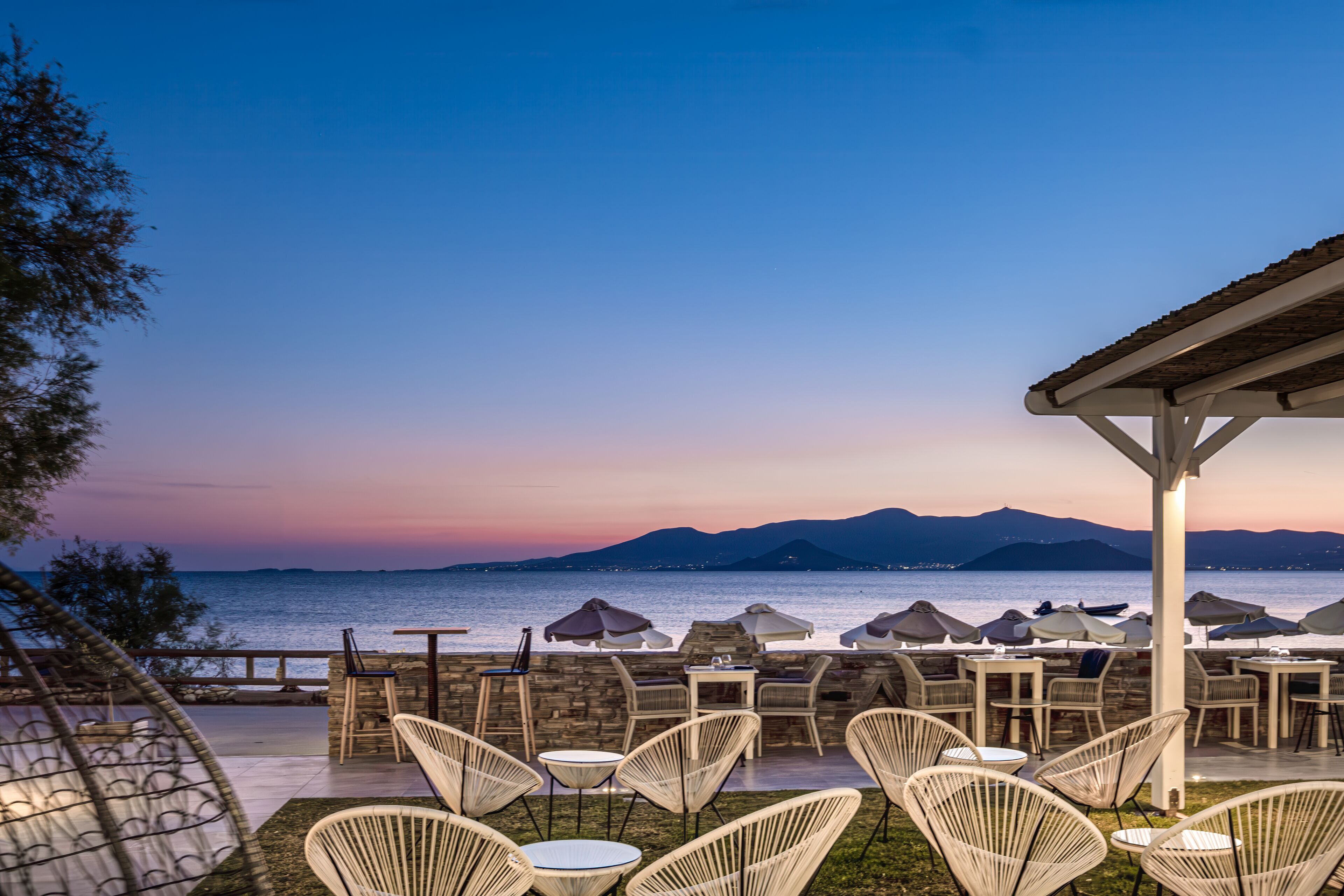 lunch and dinner served