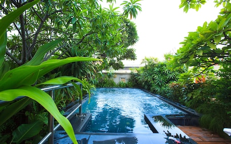 A swimming pool with a metal ladder, surrounded by lush greenery and a stone pathway.
