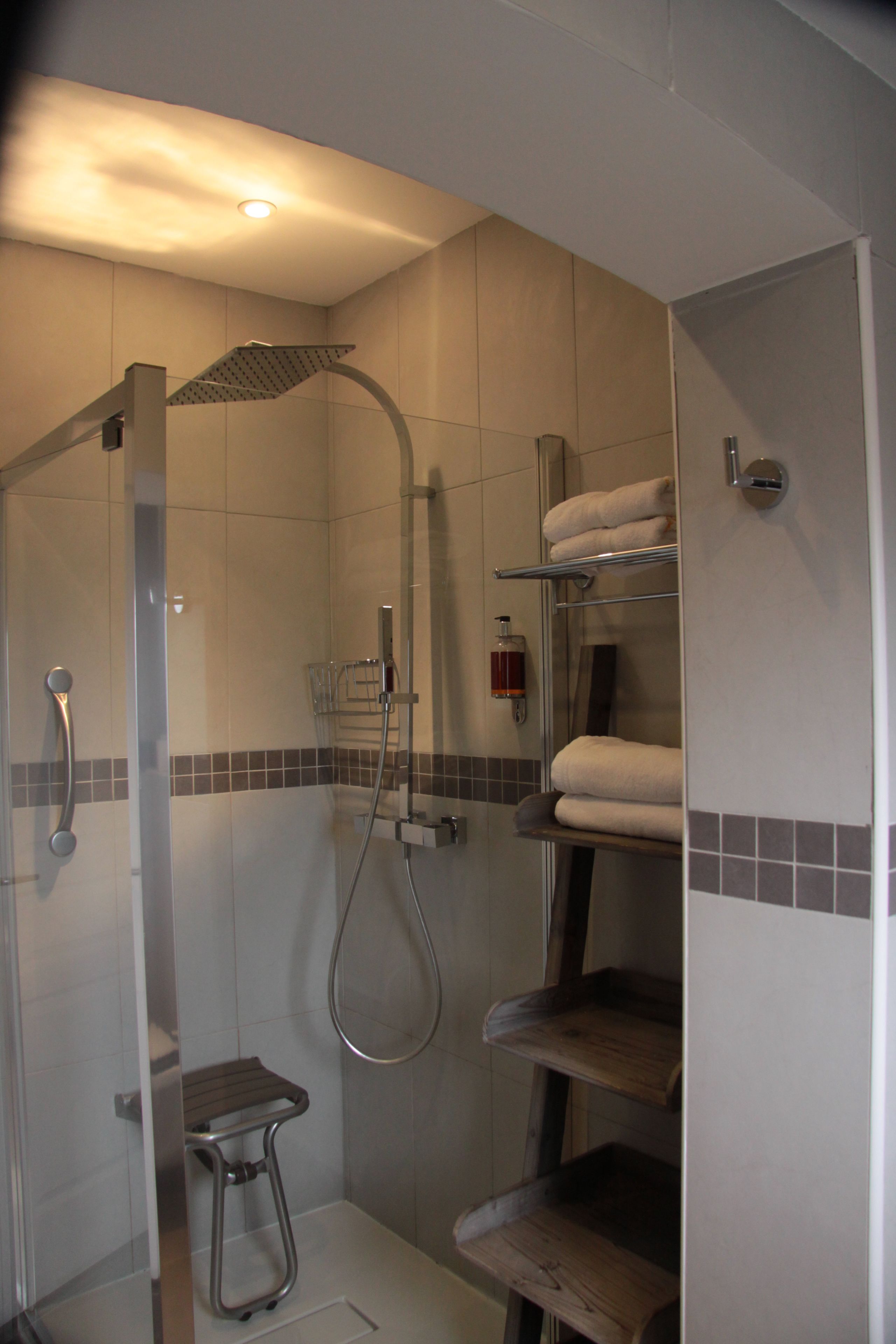 A shower area with a glass door, a showerhead, a handheld shower, and a towel rack.