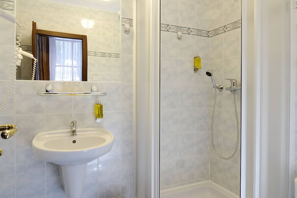 economy twin room, 2 single beds | bathroom | shower, hair dryer, towels, soap