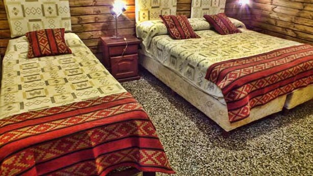 Habitació amb dos llits, cadascun amb roba de llit i almoadines estampades, una taula de nit petita i una làmpada de paret.