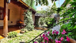 Un pati amb una pèrgola de fusta, plantes en testos i una gran varietat de flors.