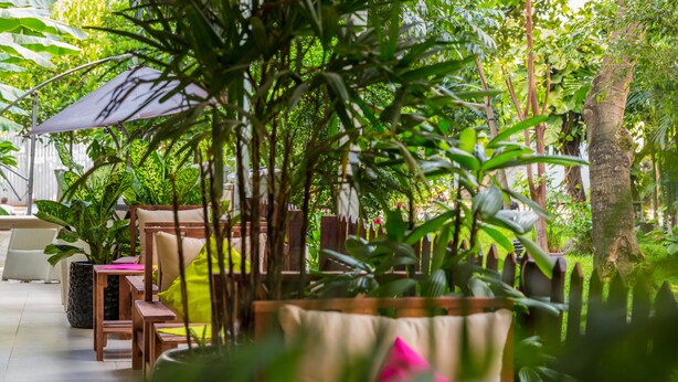 A lush indoor garden with potted plants, wooden furniture, and a large umbrella. - Crown Diamond Hotel (Ho Chi Minh City)