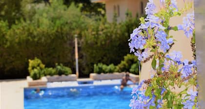 Apartamentos Sureda