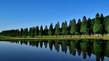 Een vredig landschap met een rij hoge bomen weerspiegeld in kalm water, een helderblauwe lucht en een verre heuvel.