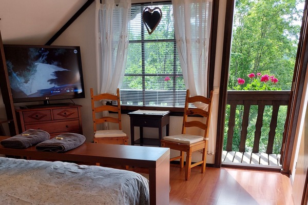 Habitación estándar con 1 cama matrimonial o 2 individuales | Muebles diferentes, tabla de planchar con plancha y wifi gratis