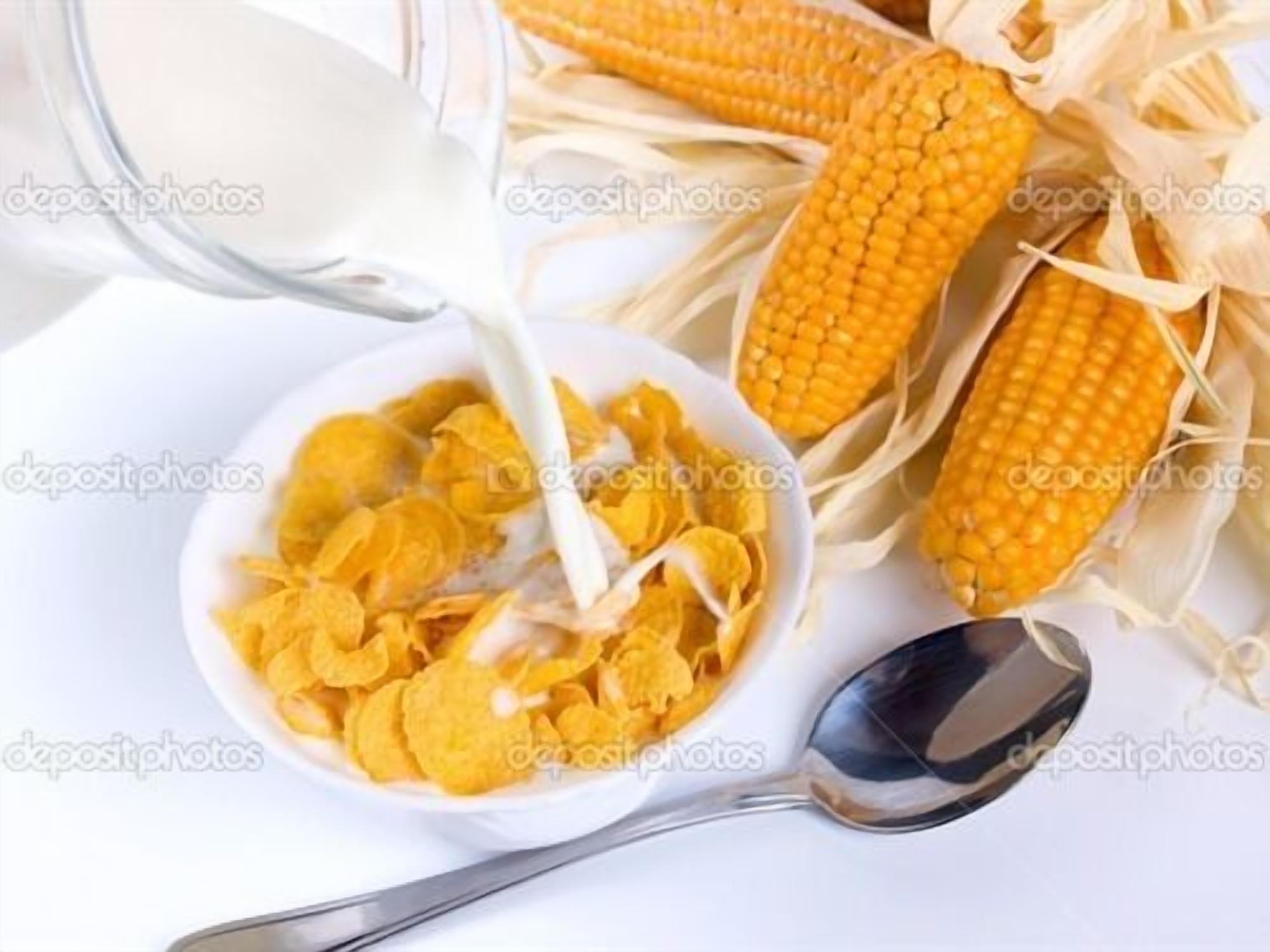 Eine Schüssel Cornflakes mit Milch, daneben liegen Kolben Mais.