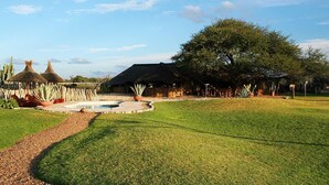 Un espacio exterior bien cuidado con piscina, una estructura de techo de paja y un árbol grande que da sombra.