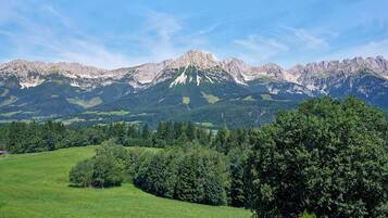 A mountain landscape with a prominent peak, lush green fields, and dense forests.