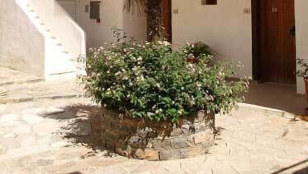 Apartment, 1 Bedroom, Garden View | Teres/patio