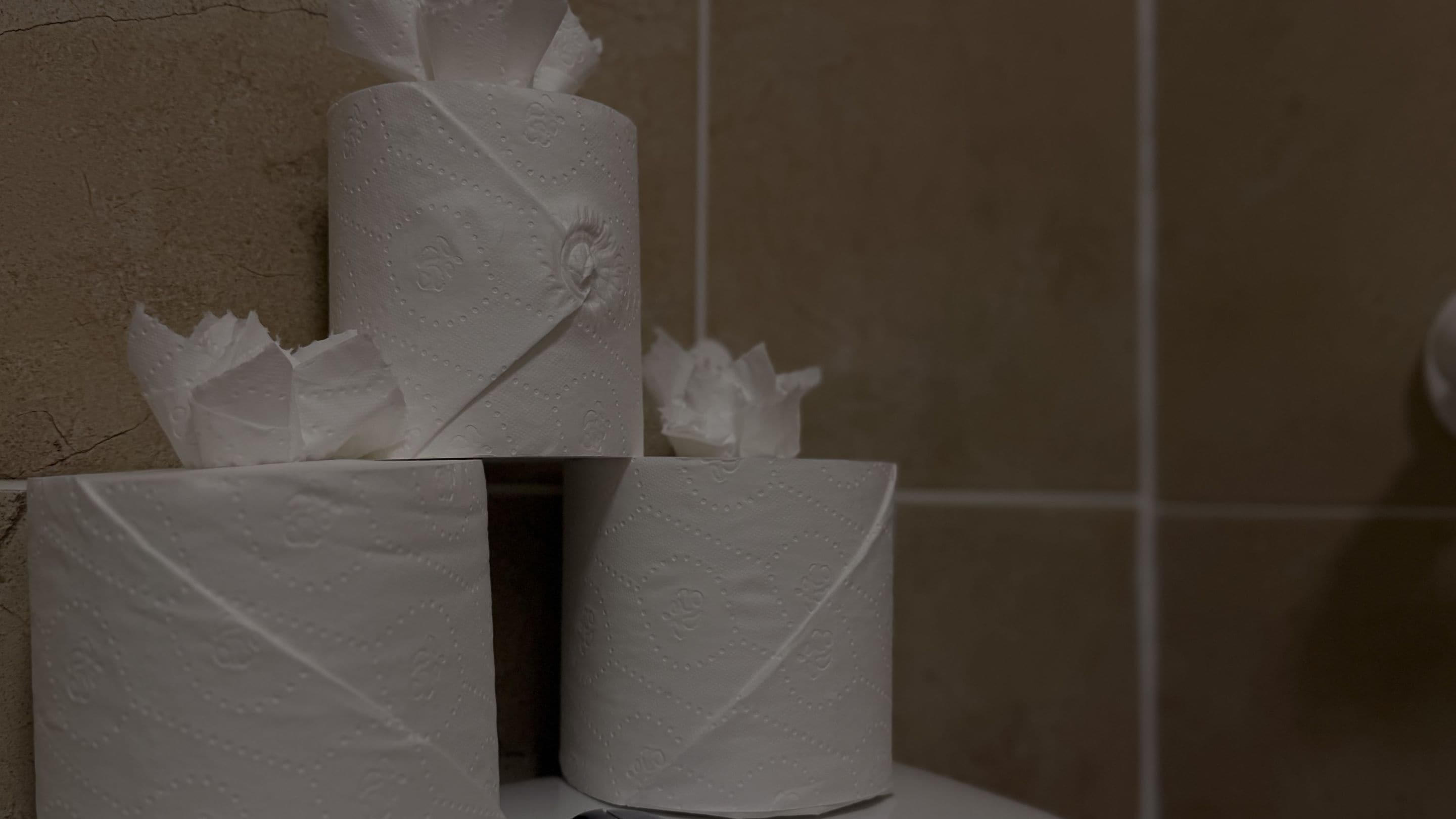 A roll of toilet paper on a dispenser.