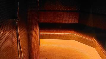 A tiled indoor pool area with a shower and a bench.