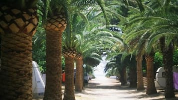 Kawasan hartanah
