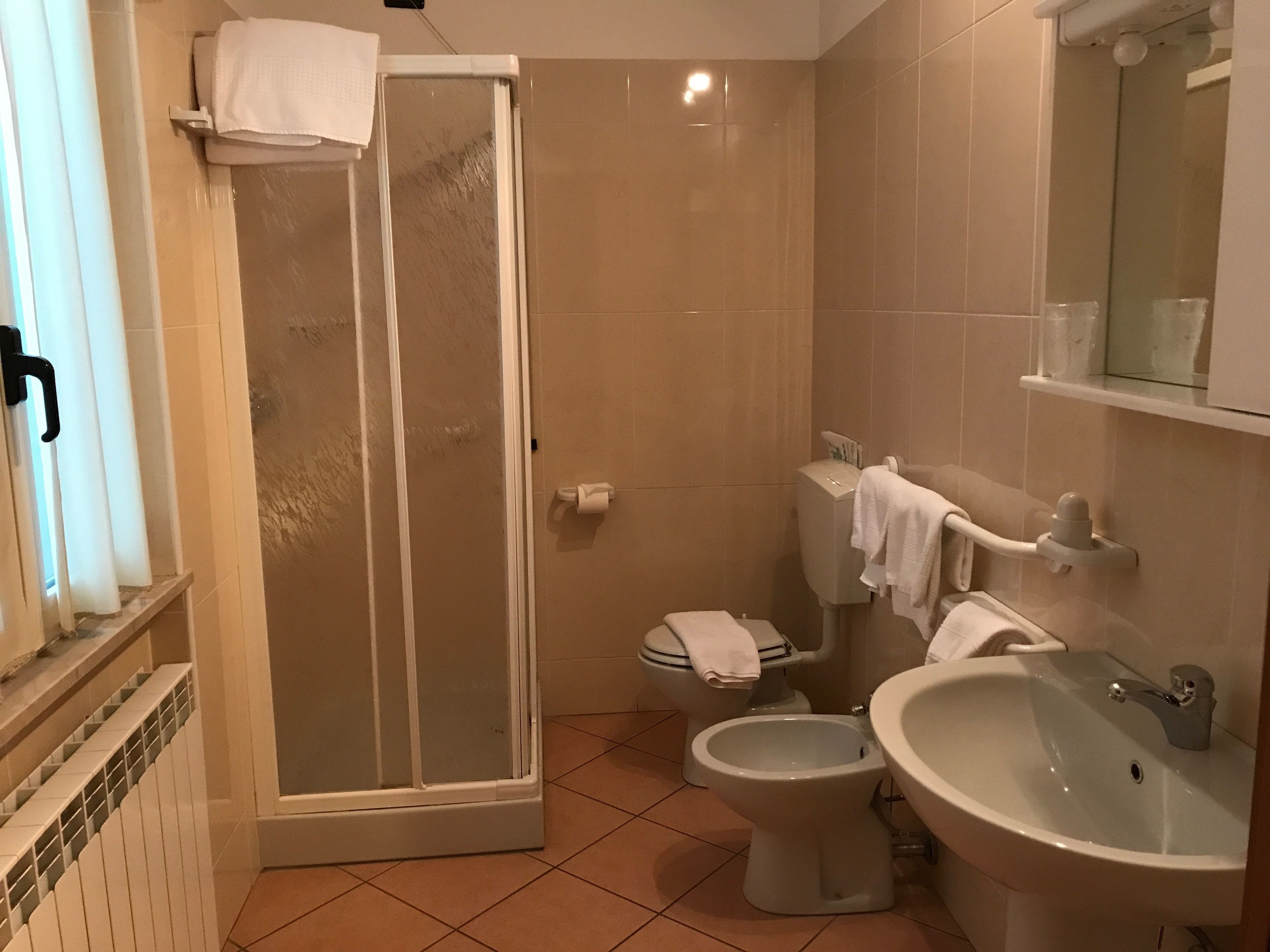 shower, free toiletries, bidet, towels