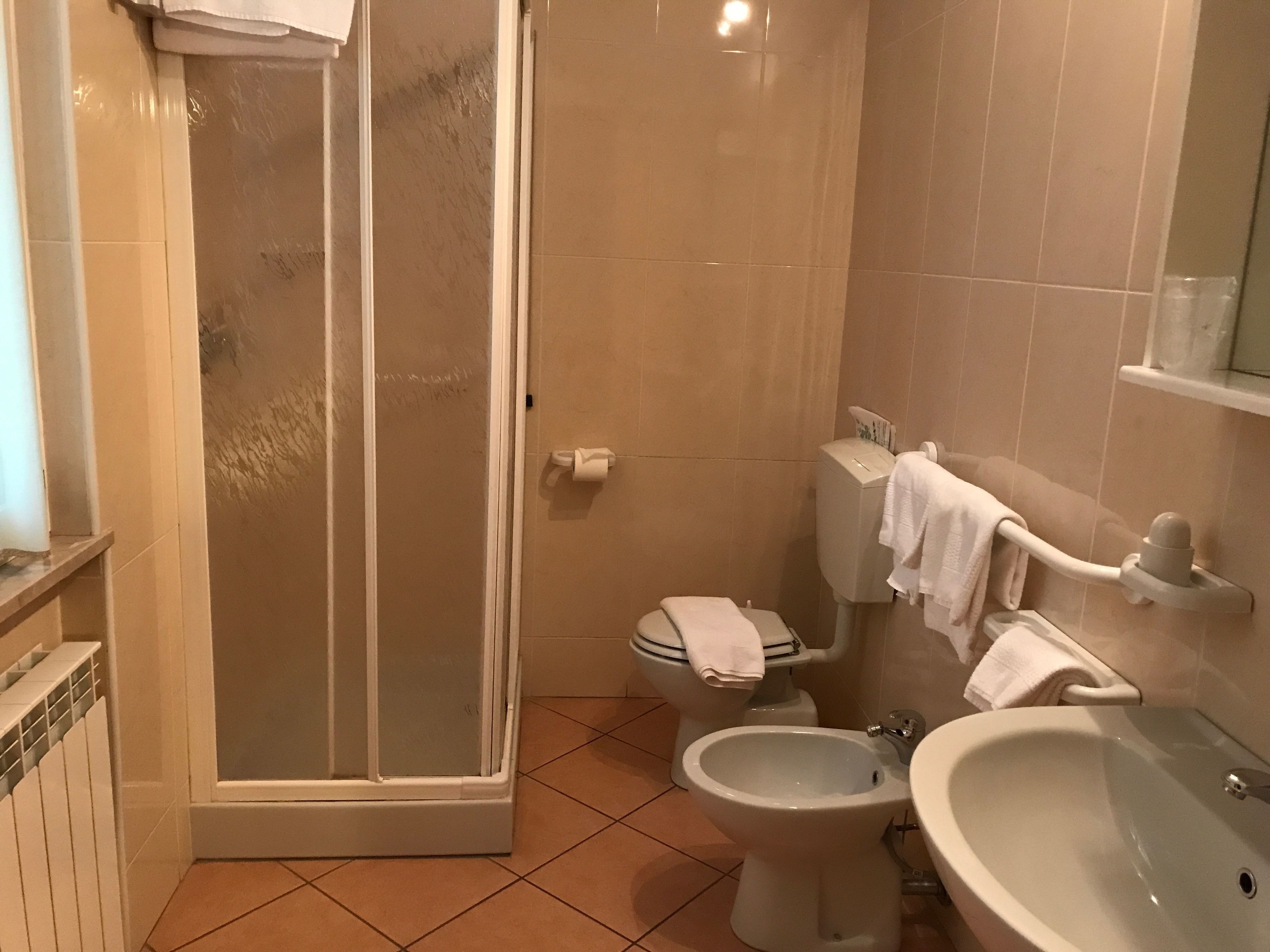 shower, free toiletries, bidet, towels
