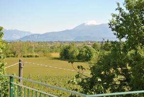 Vistas desde el alojamiento