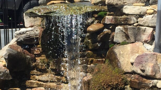 A waterfall cascading over rocks into a pond with lily pads and aquatic plants.