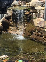 Fuente