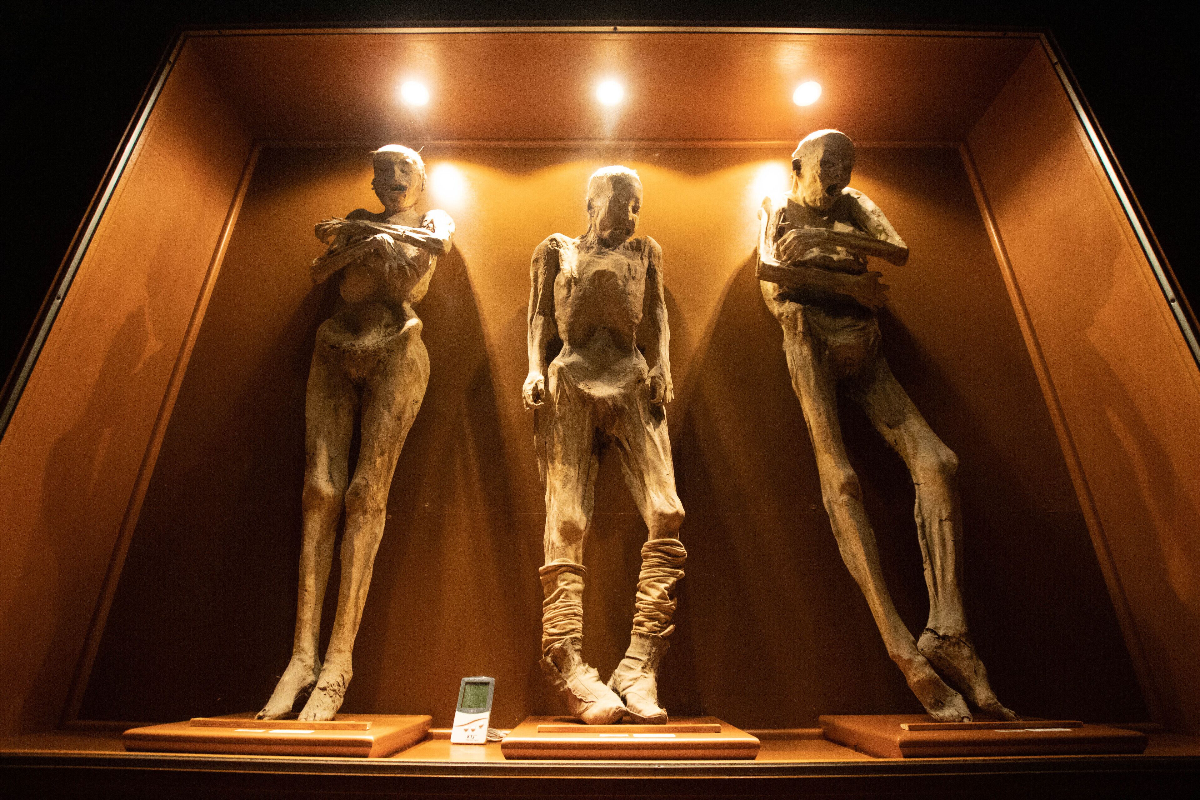 Foto - Hotel 1988 Guanajuato