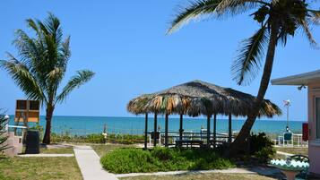 A beachside gazebo with a thatched roof, surrounded by palm trees and a clear view of the ocean.
