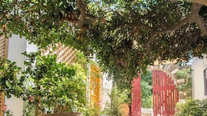 Una escalera de piedra conduce a una puerta roja, rodeada de plantas en macetas y un cartel de pizarra.