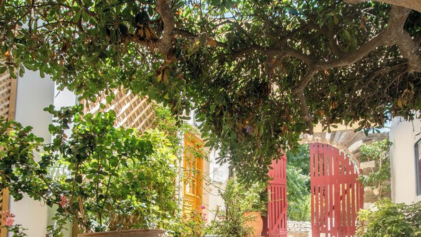 Gradians de pedra que condueixen a una porta vermella, envoltades per plantes en testos i un quadre d'annunci.
