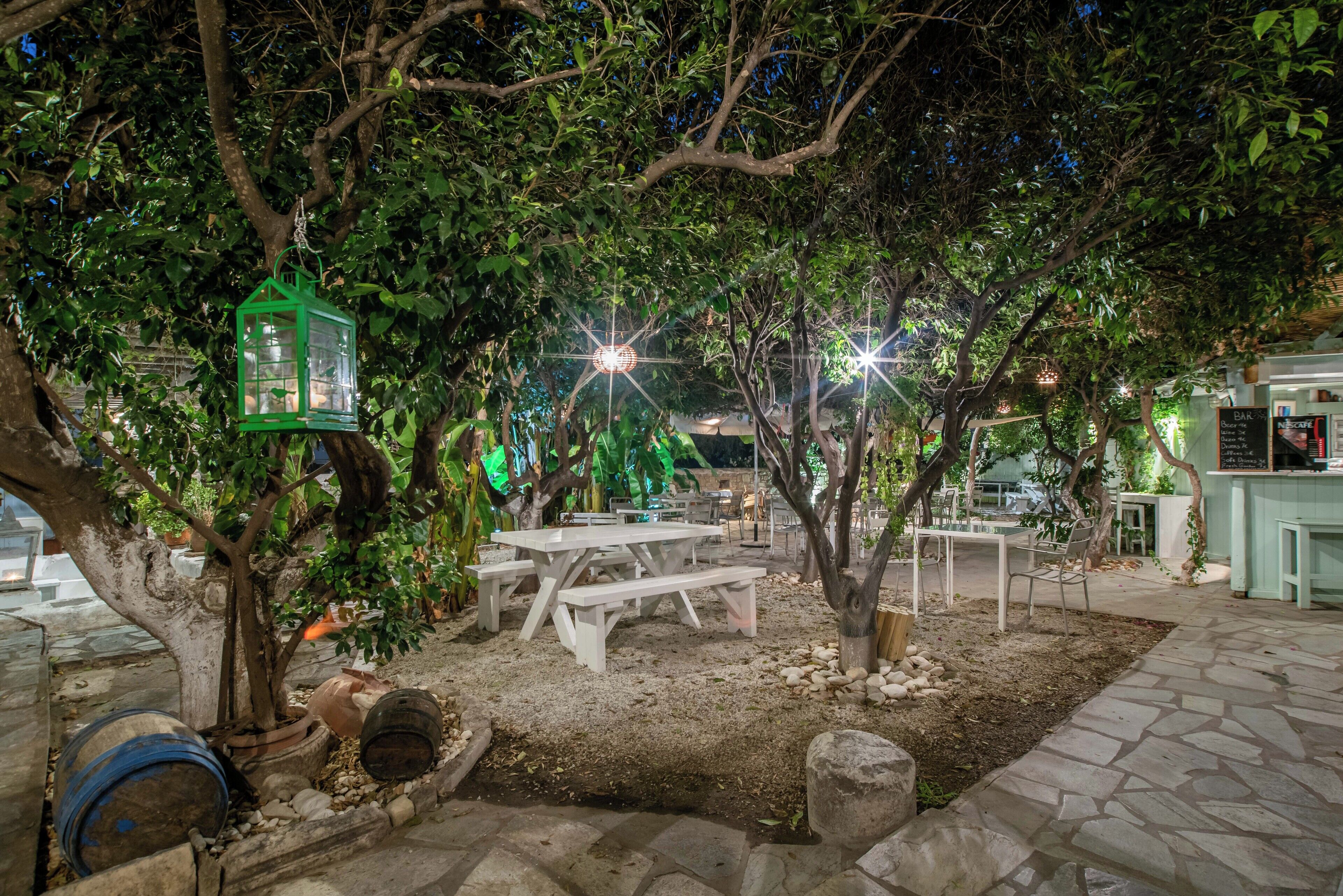 An outdoor dining area with tables and benches, surrounded by trees and illuminated by hanging lights.