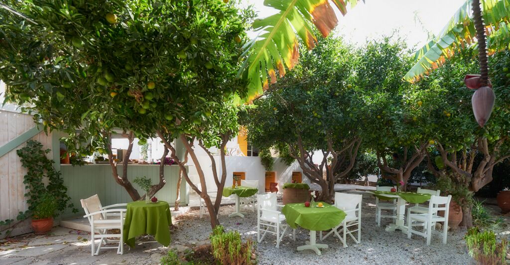 Un patio al aire libre con mesas y sillas blancas, rodeado de abundante vegetación y plantas en macetas.