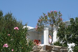 Garden - Villas Georgy (Paros)