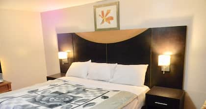 American Plaza Motel