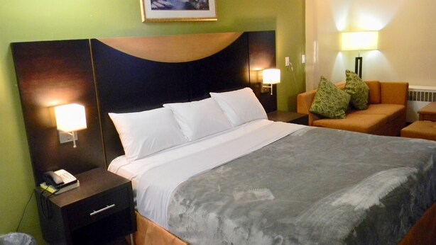 Una cama bien tendida con ropa blanca, un cabecero oscuro y una manta gris. Hay una mesita de noche pequeña con una lámpara y un teléfono. La habitación tiene paredes verdes y un cuadro enmarcado sobre la cama.