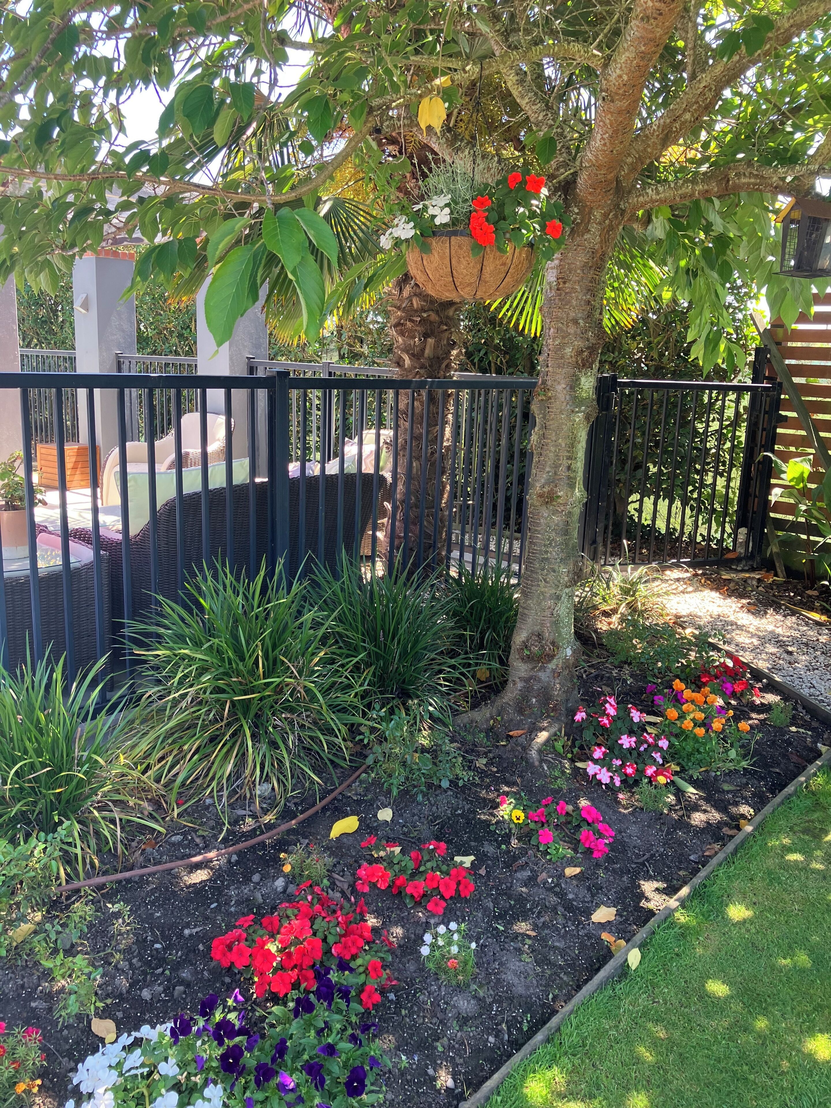 Garden view